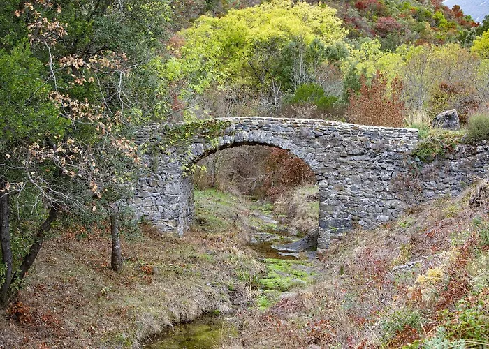 La Romance. Prugnanes