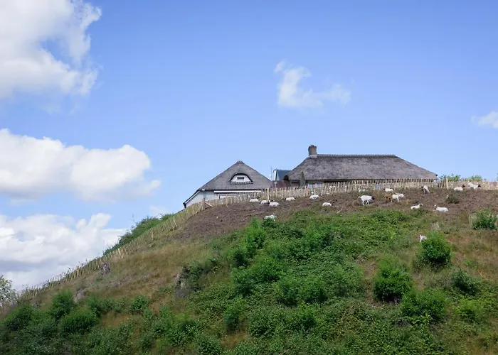 Het Montferland