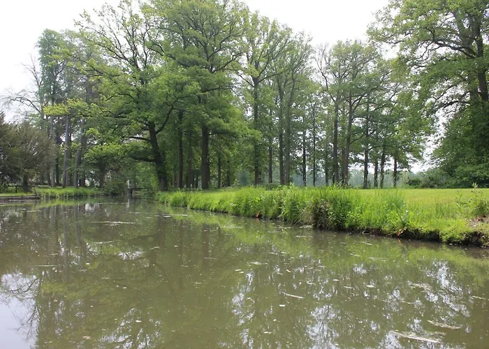 De Bloesem