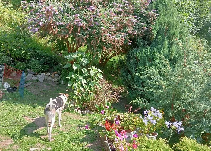 Bed and Breakfast Il Ciliegio Imer