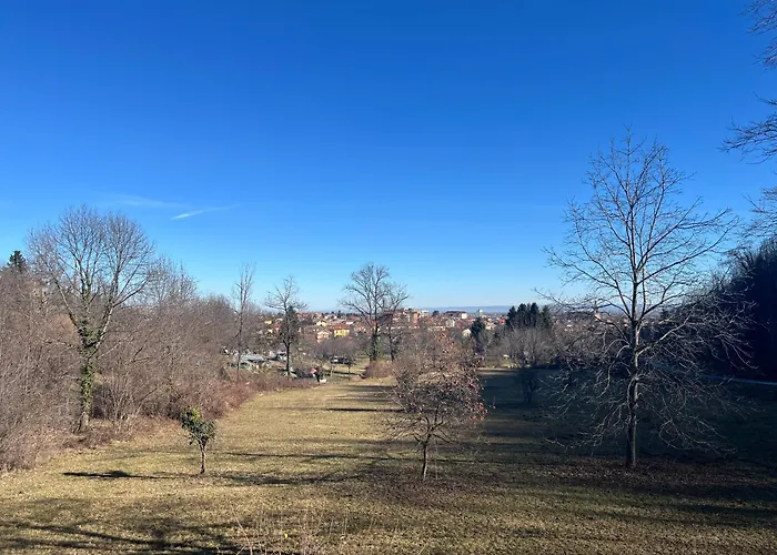 Il Bosco Incantato