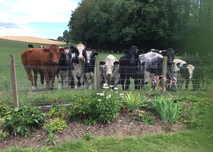 Retreat At The Knowe Auchincruive Estate