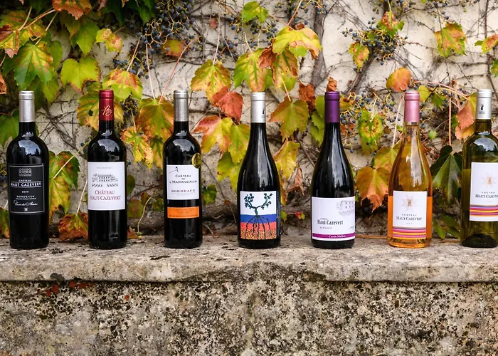 Chateau Haut Cazevert Blasimon