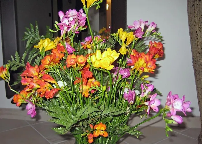 B&B Le Fresie Nuoro 