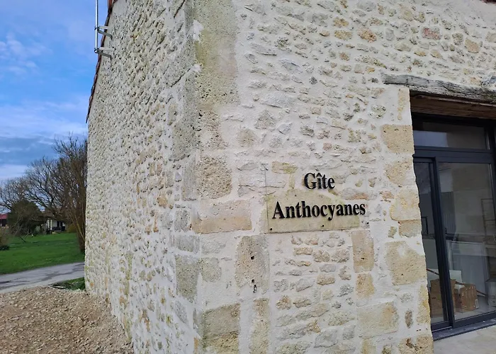 Chambres d'Hôtes Château Pierre de Montignac
