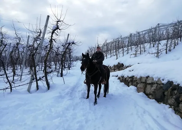 Bed and Breakfast Horse House Romallo