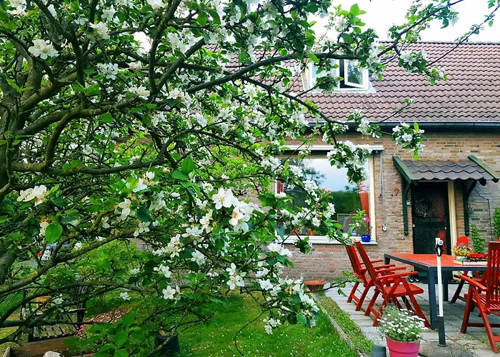 Huisjeaandedinkel