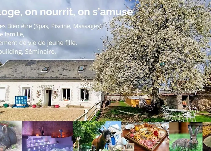 Chez Aurélia - Chambres et suite