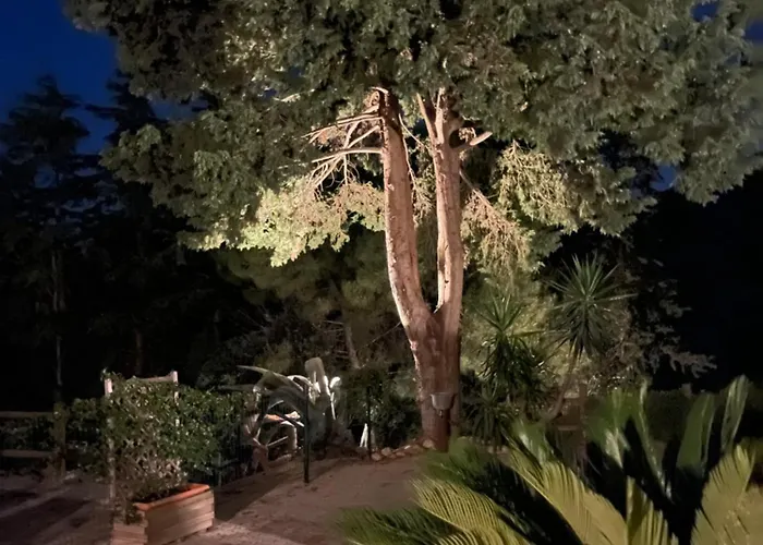 Amore a prima vista b&b Campiglia Marittima