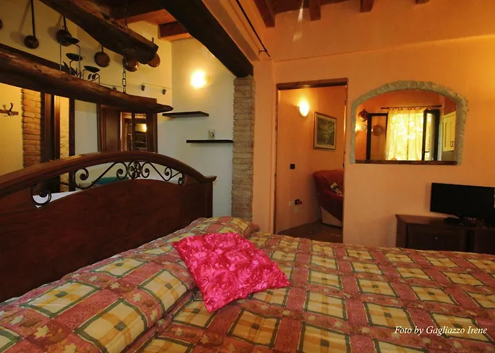 B&B Le Palme D'Oro Grisignano di Zocco