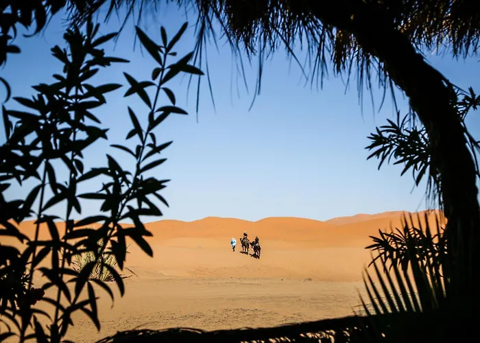 Dune House
