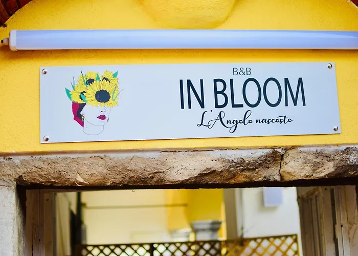 In Bloom Room B&B