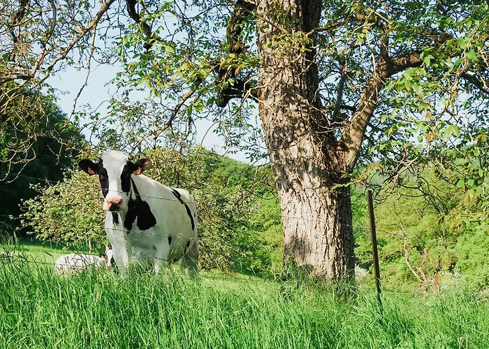 Roudenhaff Guestfarm Bed and Breakfast Echternach