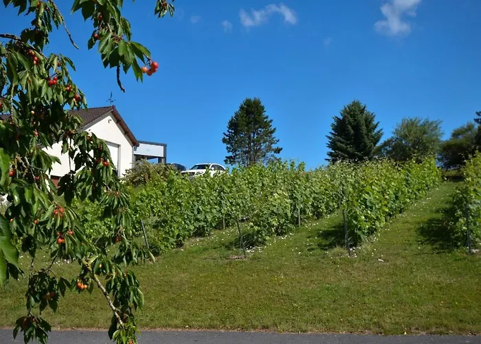 Le Clos Du Moulin Vaudemange