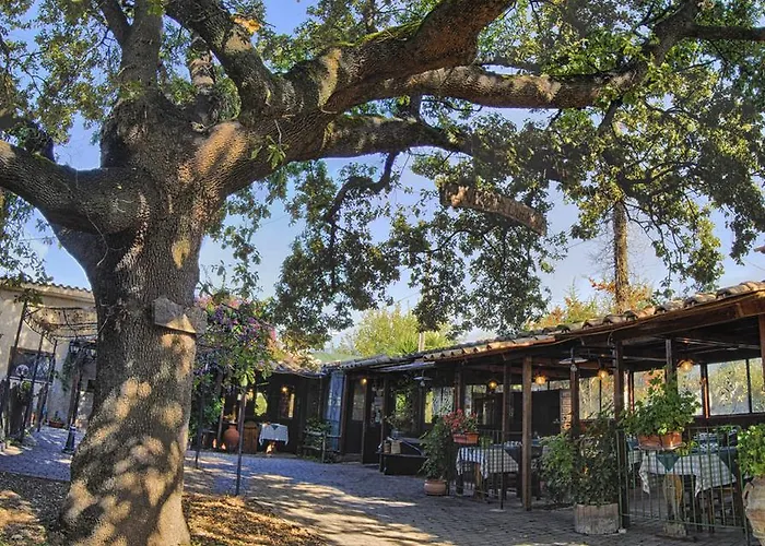 La Vecchia Quercia