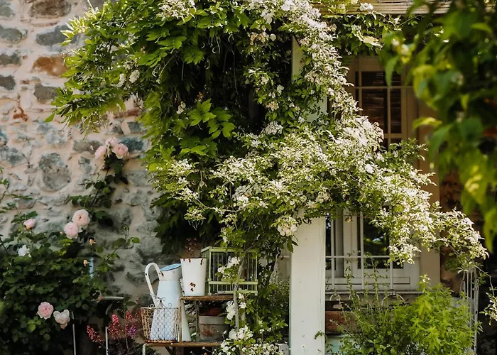 Le Molina B&B Massa e Cozzile