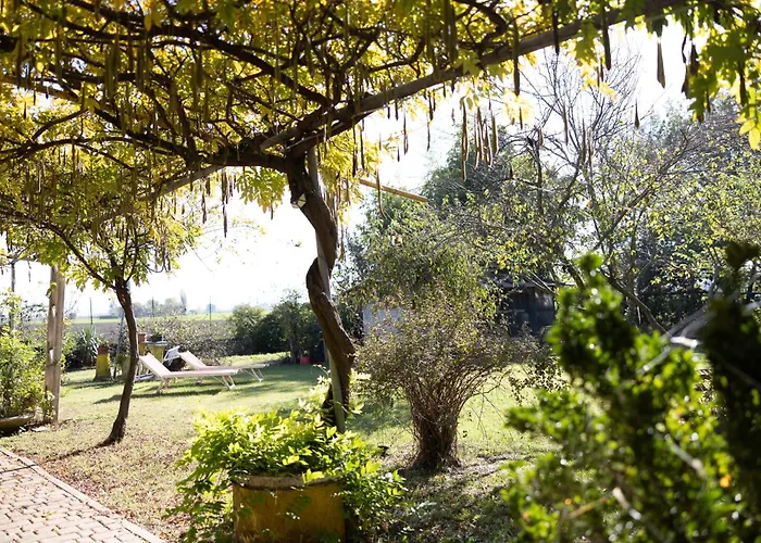 Locanda Acetaia Malagoli Daniele Castelfranco Emilia