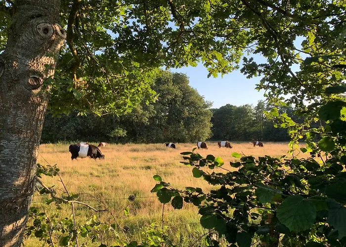 De Hiddinghhoeve
