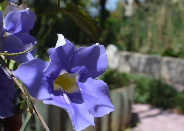 Babil Bahceleri - Gardens Of Babel Bed and Breakfast Lapta