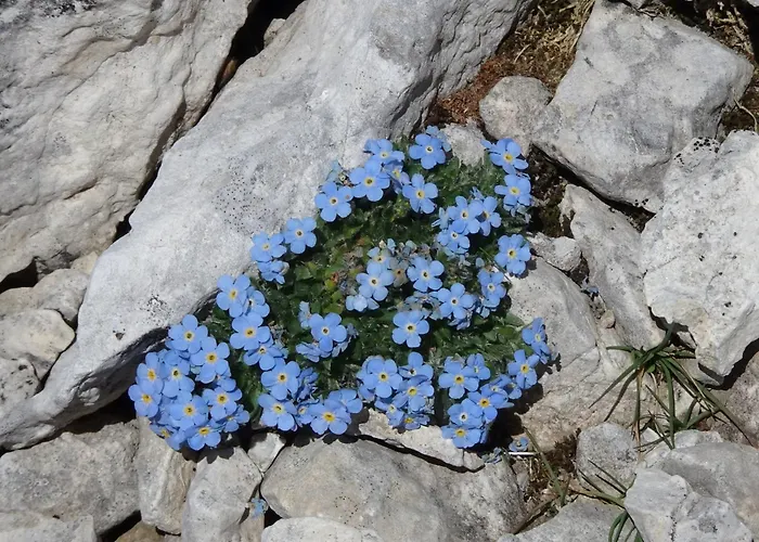 B&B Dolomia Sagron Mis