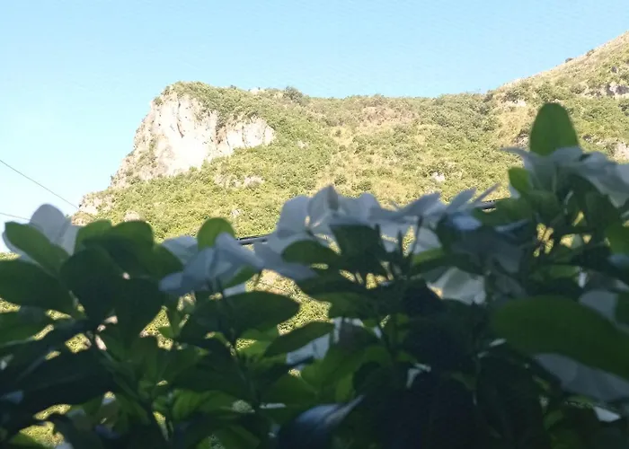 B&B San Nilo Orsomarso