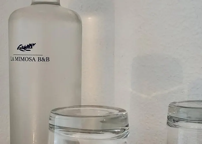 B&B La Mimosa Teguise 