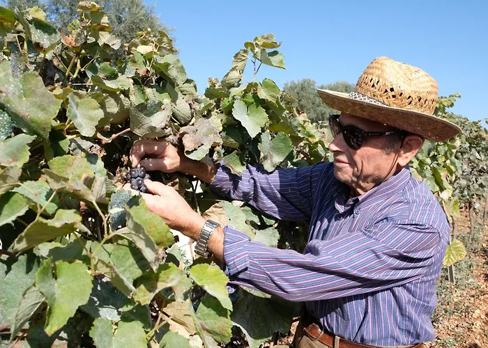 Masseria Grieco Ostuni