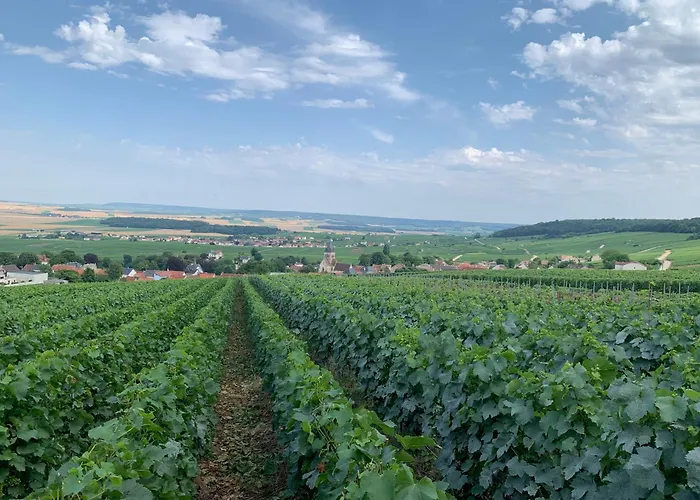Les Suites Champenoises Tinqueux