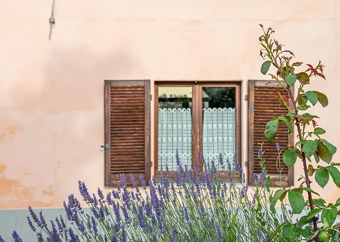 Agriturismo Cantine Bevione - Rooms With Air Conditioning Belvedere Langhe