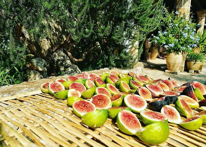 B&B Borgo del Gallo