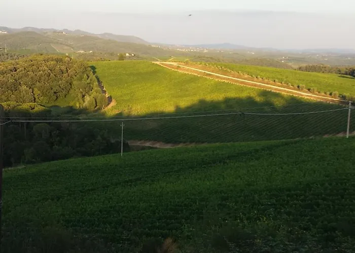 Bed and Breakfast Borgo Carpineto Vagliagli