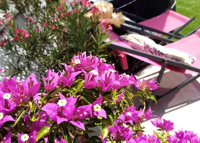 Bed and Breakfast Le Petit Patio Aigues-Mortes