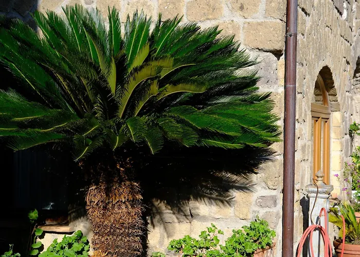 Bed and Breakfast Conte Spencer Caserta Vecchia