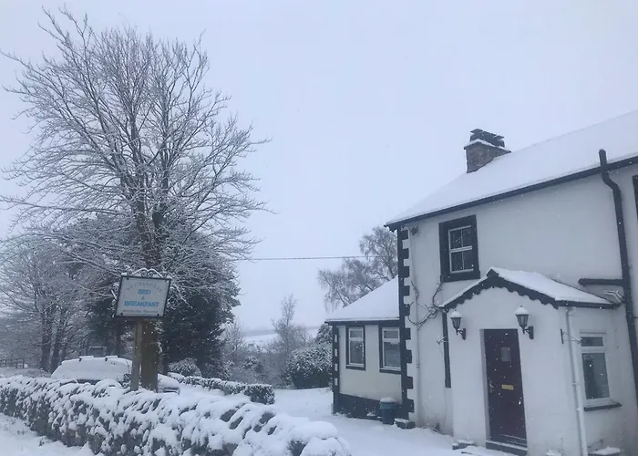 Netherdene Country House Bed & Breakfast