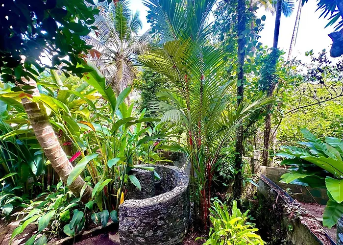 Jungle Fence Bed & Breakfast Bentota