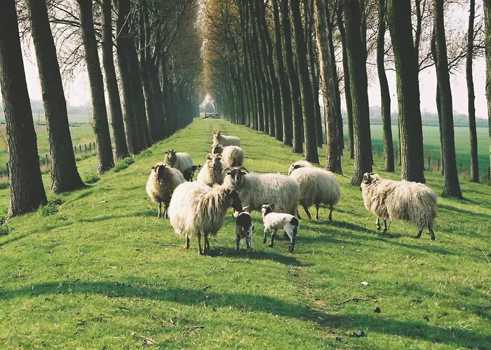 B&B Landgoed Rijckholt