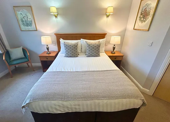 New Forest Lodge