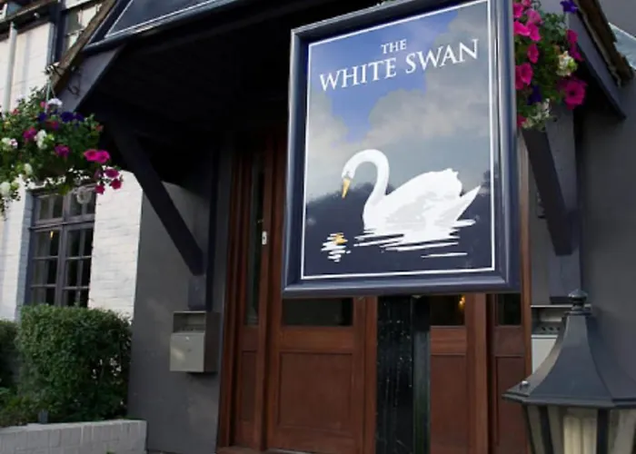 The White Swan