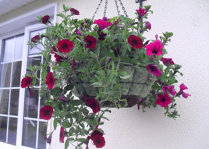 Seafield House B&B