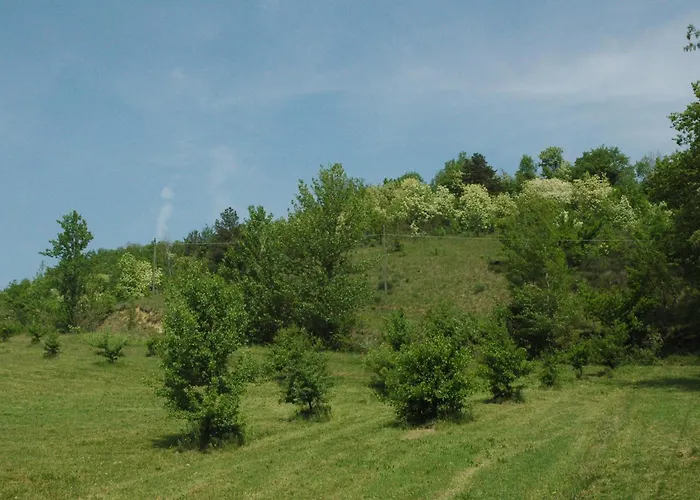Agriturismo Rio Verde Sasso Marconi