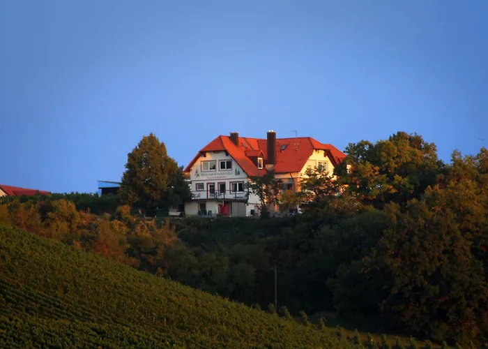 Kirschberghof Gästehaus und Weinverkauf