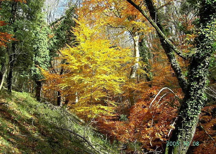 Casa Natura Gargano Monte SantʼAngelo