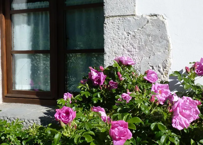 Casa Rural Los Riegos
