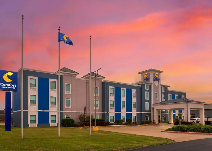 Comfort Inn & Suites Houston Fm1960 - Champions