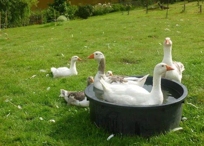 D'Hôtes Logis De L'Etang De L'Aune