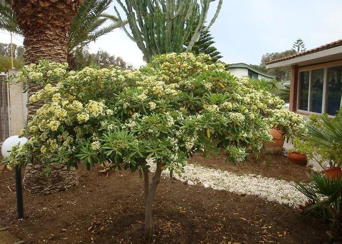 Villa Cetta B&B San Leone