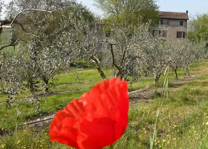 I Vigneti Bed & Breakfast Salionze