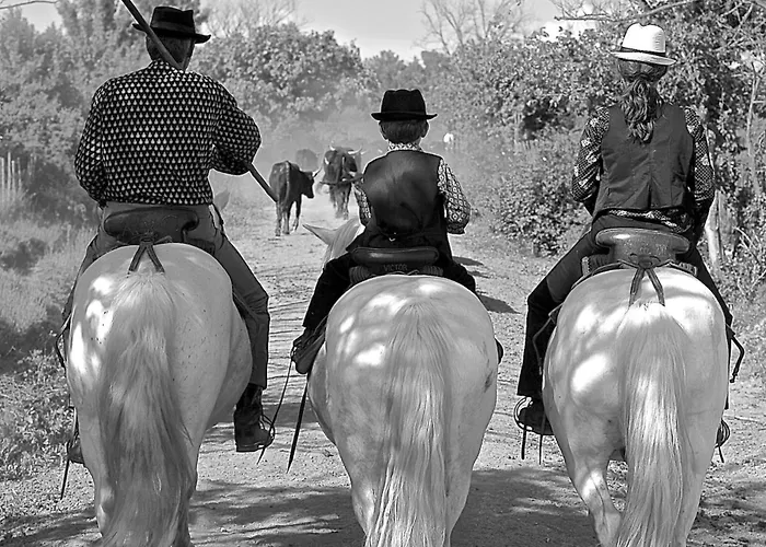Mas Du Menage En Camargue Manade Clauzel