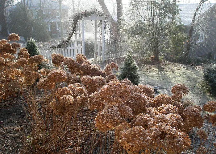 Ô Bois Dormant B&B Magog