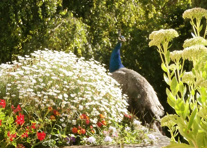 Bed and breakfast Les Demoiselles de Ladoix